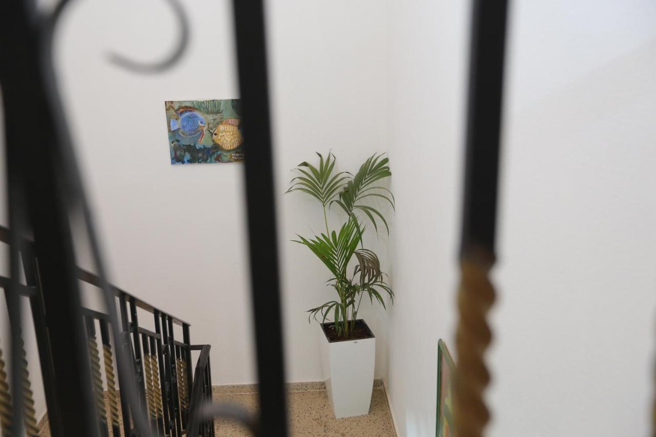 Apartment Celaj Velipoje Ngoại thất bức ảnh